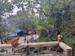 -苏州上方山国家森林公园