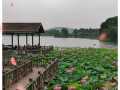 -上海市保健医疗中心