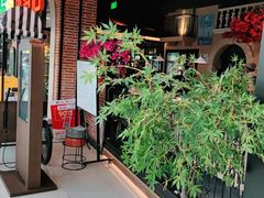 门面-前海沿·青岛菜(李沧万达店)