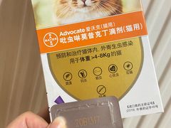 -谐和贝康宠物医院24小时·宠保定点(急重症转诊中心)