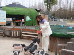 -前小桔亲子创意农场·草莓采摘·露营烧烤