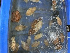 -蓝湾碧波·老字号·疍家非遗海上餐厅