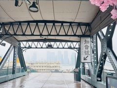 -武汉知音号