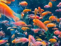 -正佳极地海洋世界