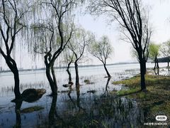 -渤公岛生态公园