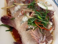 -渔香餐厅·海鲜大排档·现捞活海鲜(南澳旅游必选店)