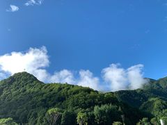 -大九湖