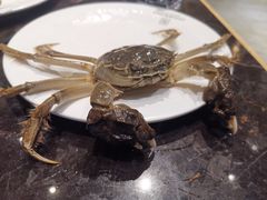 -川骄海鲜自助(河东店)