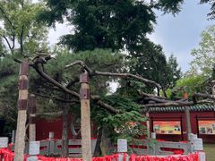 -泰山风景名胜区-普照寺