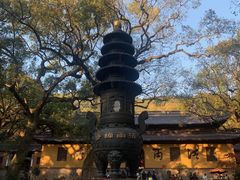 -普陀山风景名胜区-法雨禅寺