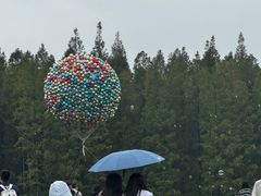 -黄海国家森林公园