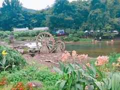 -广州市石门国家森林公园