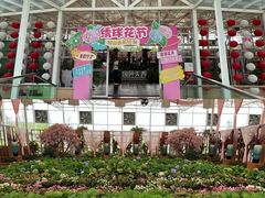 -盈香心动乐园
