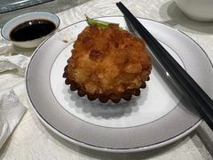 -丁老爷子苏香圆