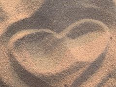 -南宁花花大世界景区