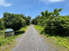 -广富林郊野公园