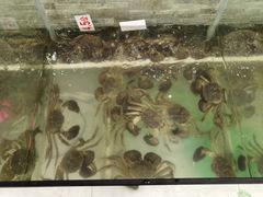 水产区-呼吸森林·生态农庄农家乐私房菜