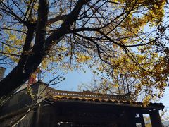 -腾冲国萍农家乐