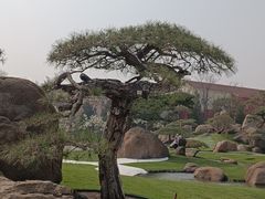 -罗红摄影艺术馆