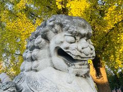 -北京石刻艺术博物馆(五塔寺)