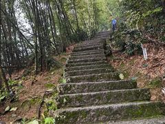 -长沙黑麋峰国家森林公园