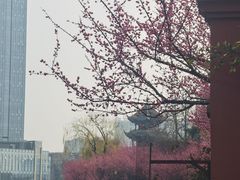 -望江楼公园