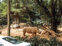 -广州长隆野生动物世界