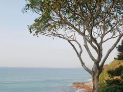 -美人鱼悬崖海景餐厅(鹿嘴山庄店)