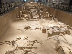 -洛阳周王城天子驾六博物馆