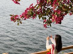 -长白岛森林公园