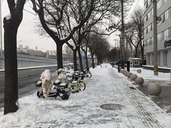 -大钟寺古钟博物馆