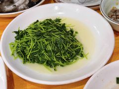 炒豆苗-红灯笼龙凤饭店(宁波老字号店)