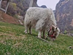 -山西通天峡景区