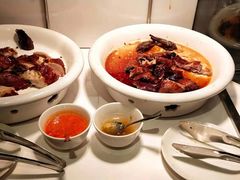 -The COOK·厨餐厅·自助餐(浦东嘉里大酒店)