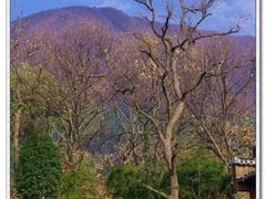 -塔川景区