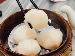 虾饺-华峰食馆(氹仔店)