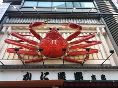 -蟹道乐(道顿堀本店)