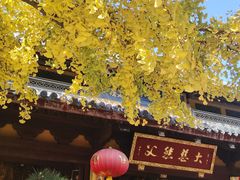 -龙华素斋(龙华路店)