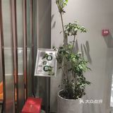 本帮菜[鼓掌][鼓掌][鼓掌][亲亲][亲亲][亲亲]