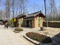 -合肥滨湖国家森林公园