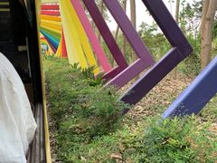 -合肥滨湖国家森林公园