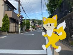 -奈良公园