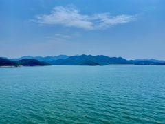 -望湖烤鱼