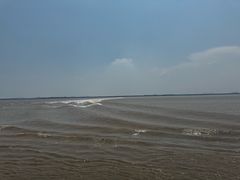 -紫薇冷饮(海宁盐官宣德路店)