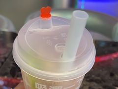 -TD66高山铁皮石斛养生茶饮