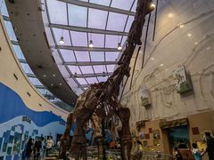 -陕西自然博物馆