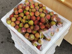 -西郊国际农产品交易中心