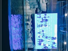 -福州罗源湾海洋世界旅游区