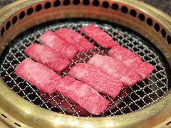 -老乾杯(深圳湾万象城店)