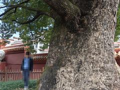 -南岳大庙